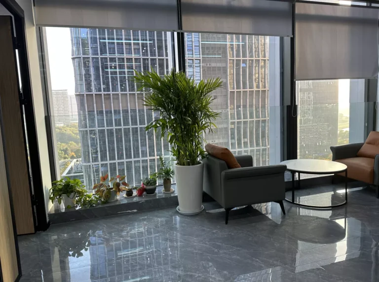 公司环境